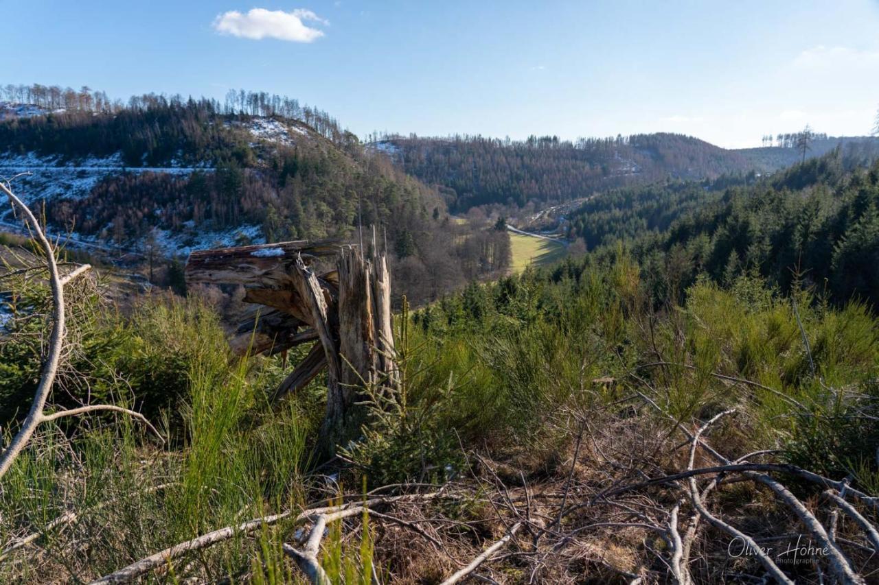 Ferienwohnung Am Waldrand Bad Laasphe Kültér fotó