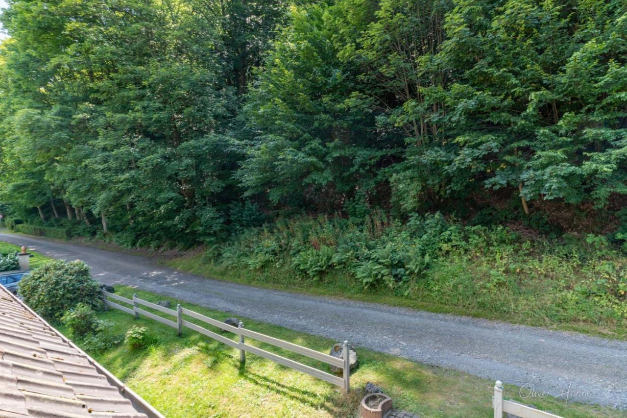Ferienwohnung Am Waldrand Bad Laasphe Kültér fotó